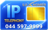 044 597-9999