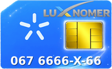 067 6666-X-66