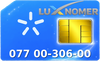 077 00-306-00