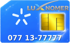 077 13-77777