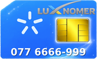 077 6666-999