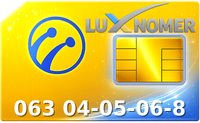 063 04-05-06-8